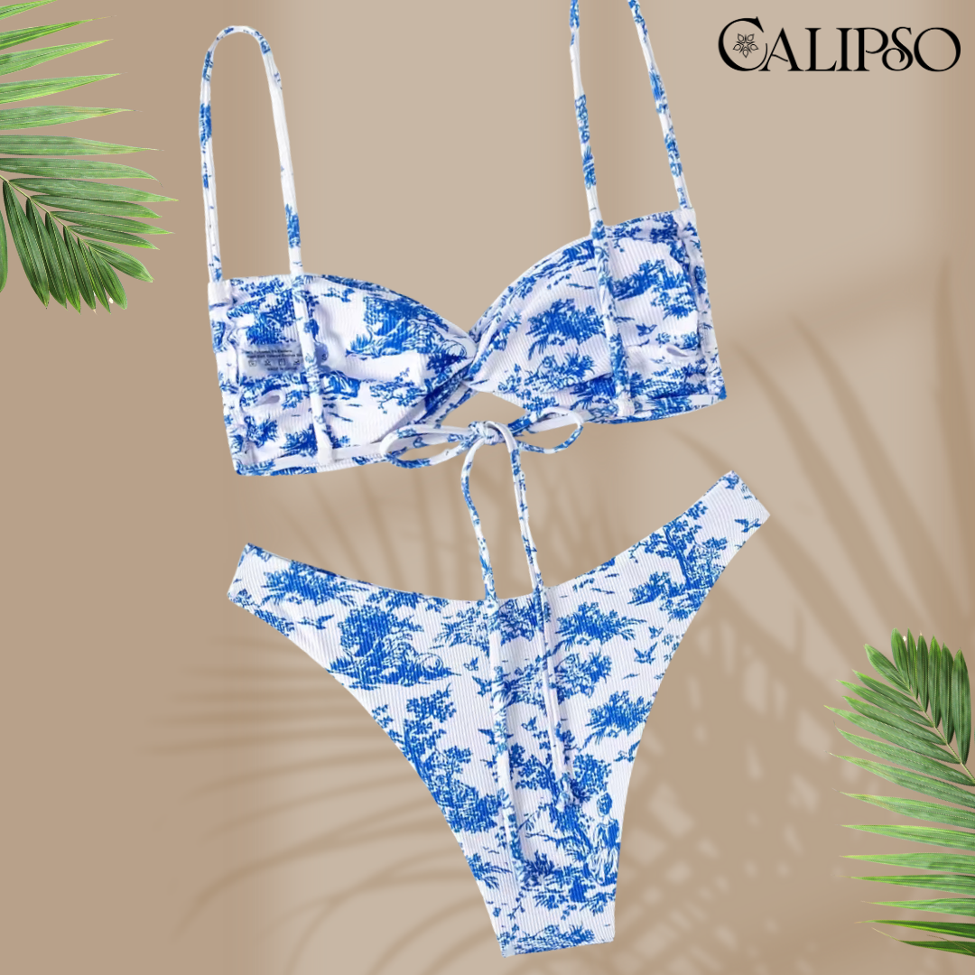 bahia bikini