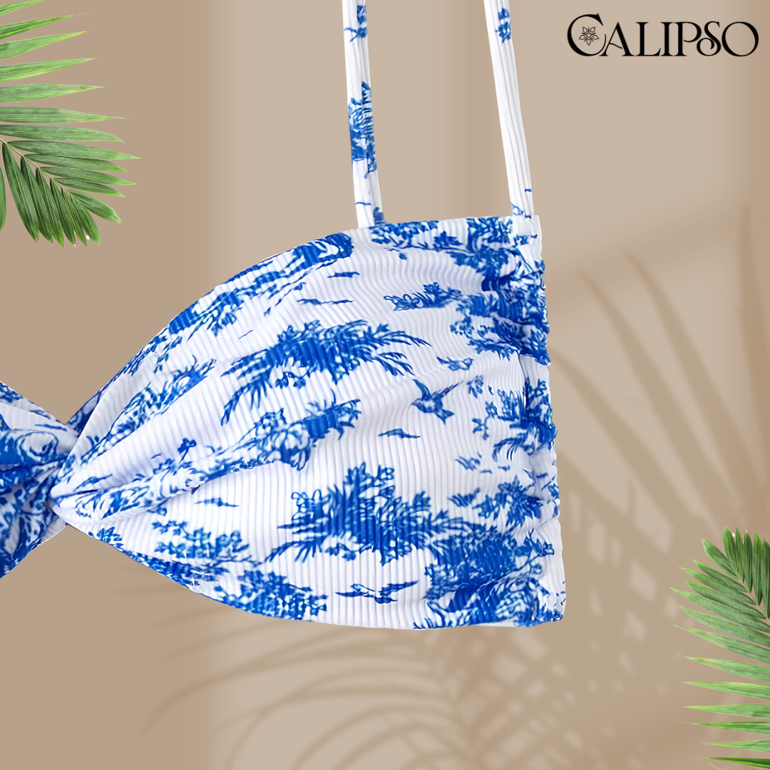 bahia bikini