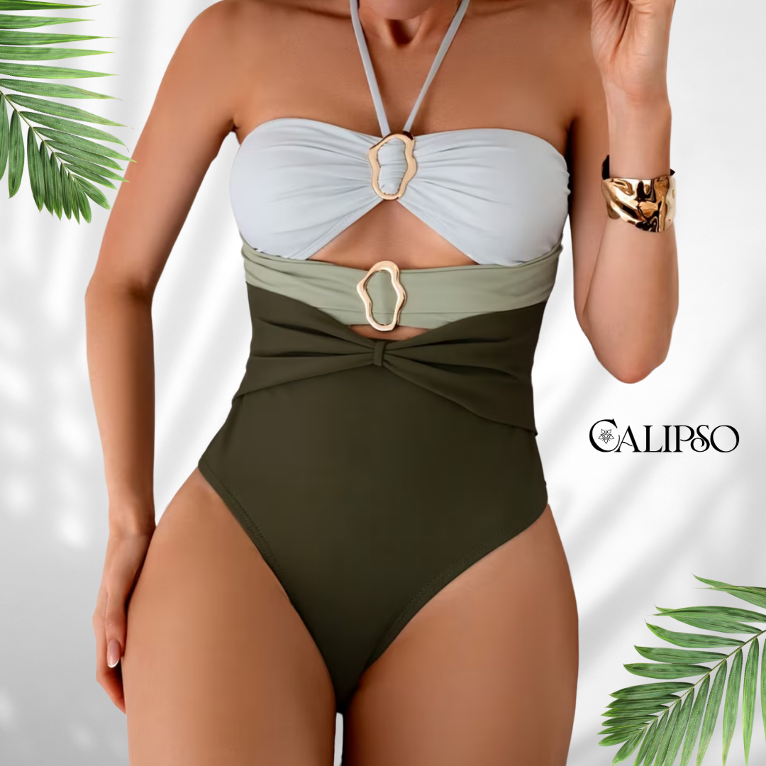 Habana Swimsuit